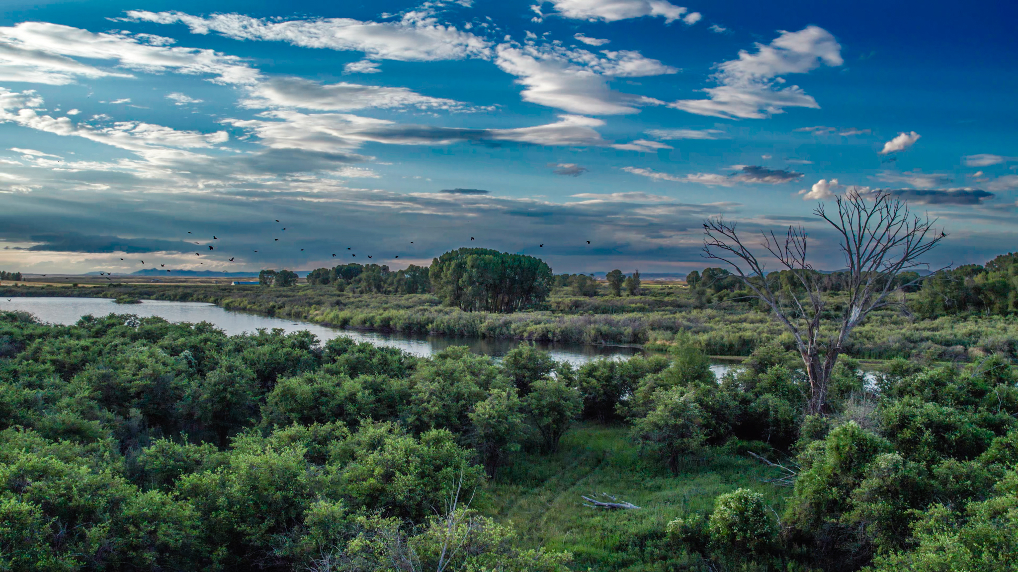 aerial view of Henry's Fork Ranch