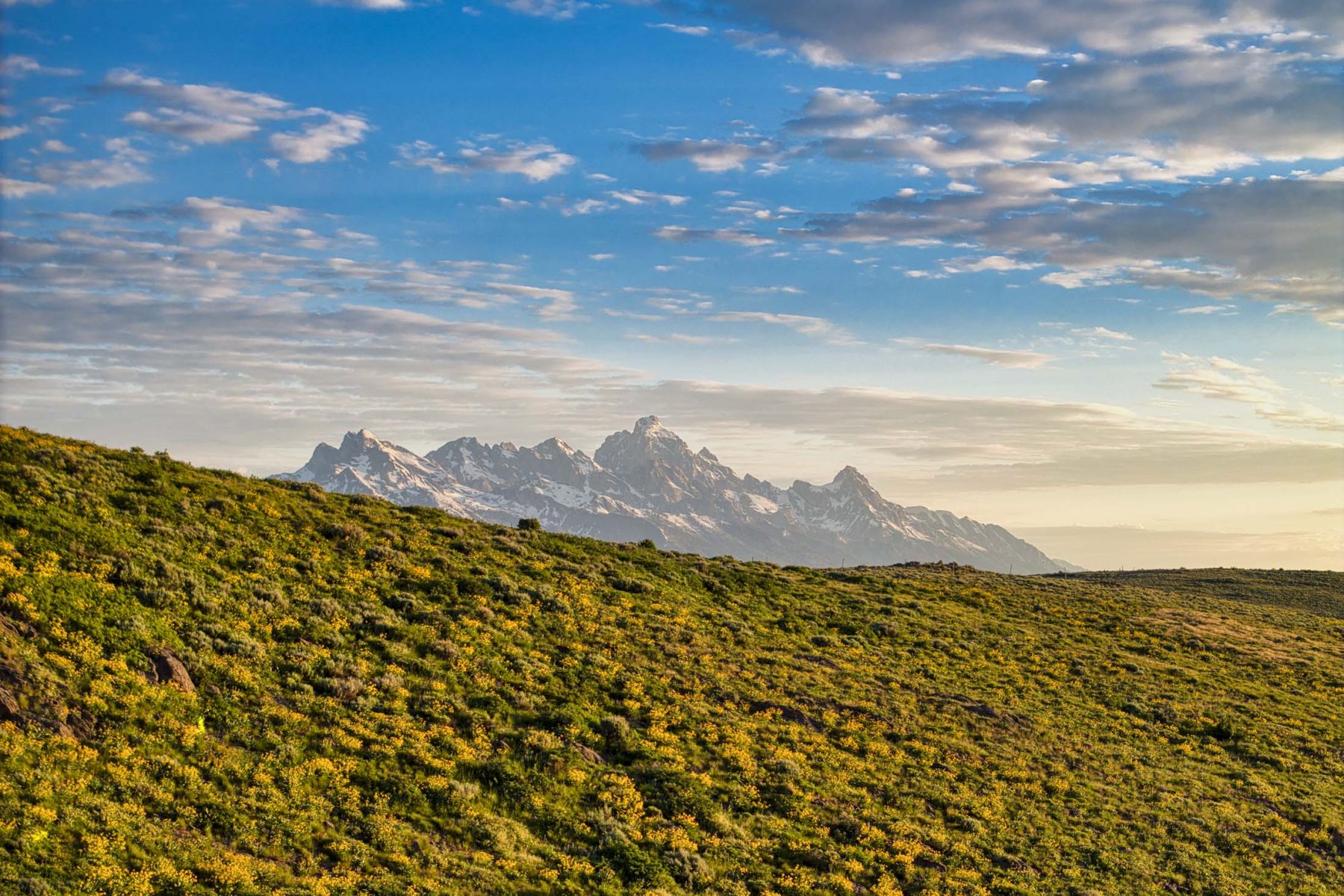 Teton mountains