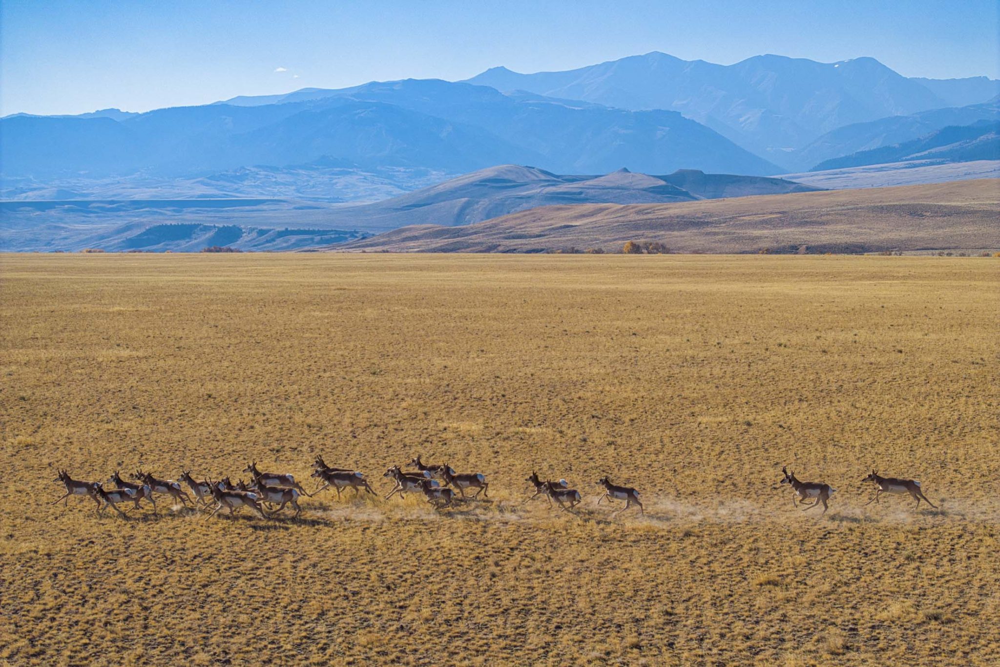 Pitchfork Ranch - Land & Ranches for Sale in Western & Southeastern ...