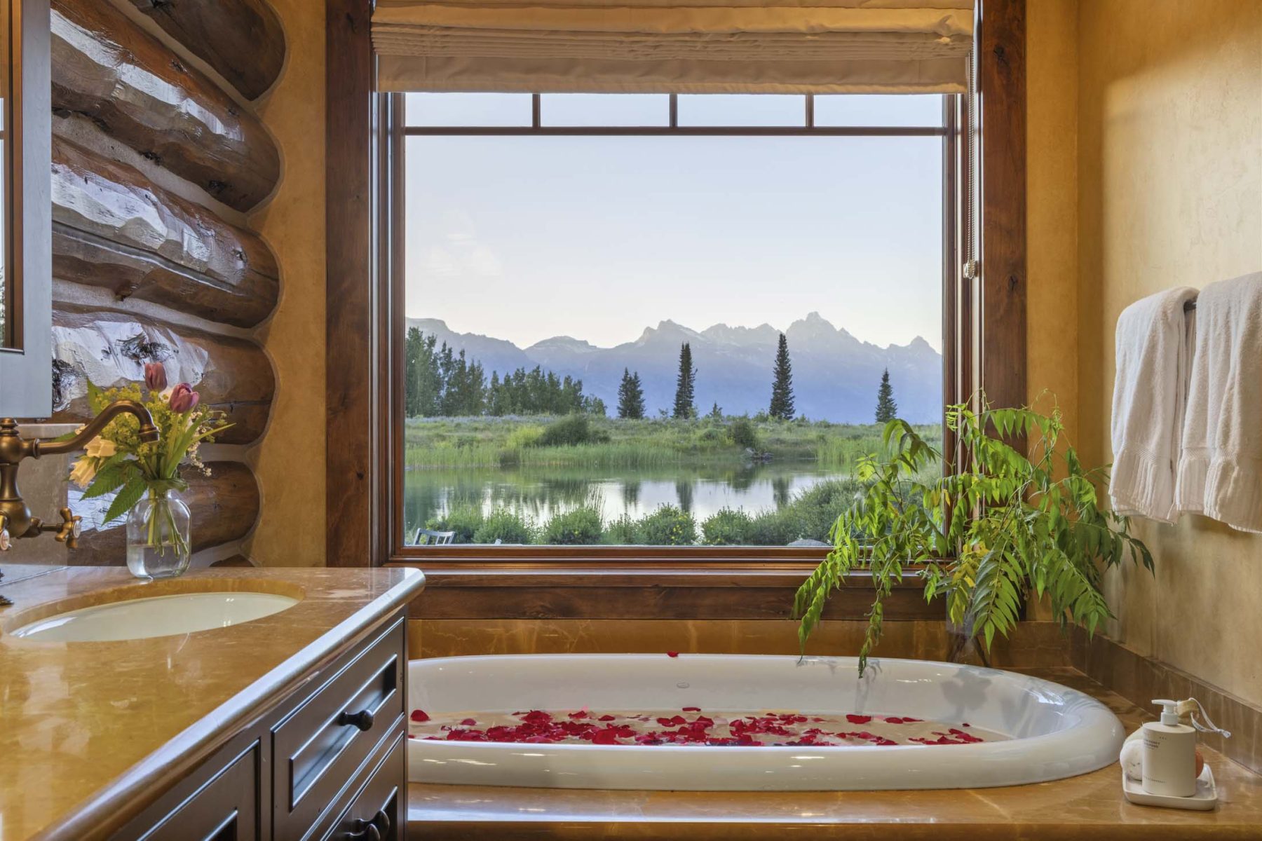 bathtub with view