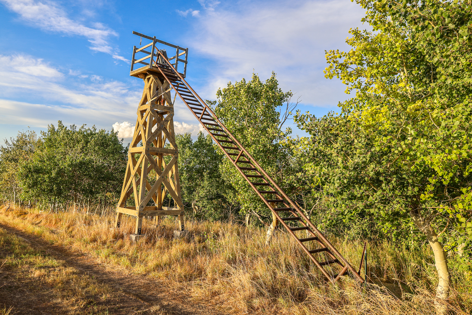 tower with shotgun clays