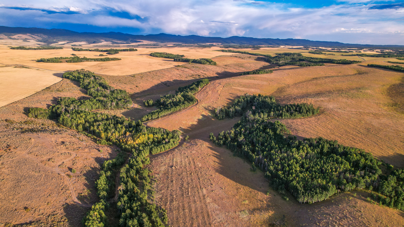 farmland aerial view