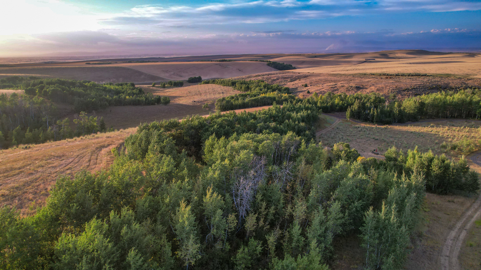 aerial view of farmland in idaho
