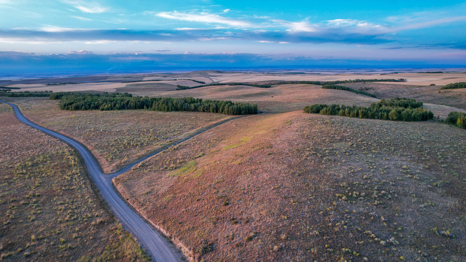 road leading into farmland in idaho