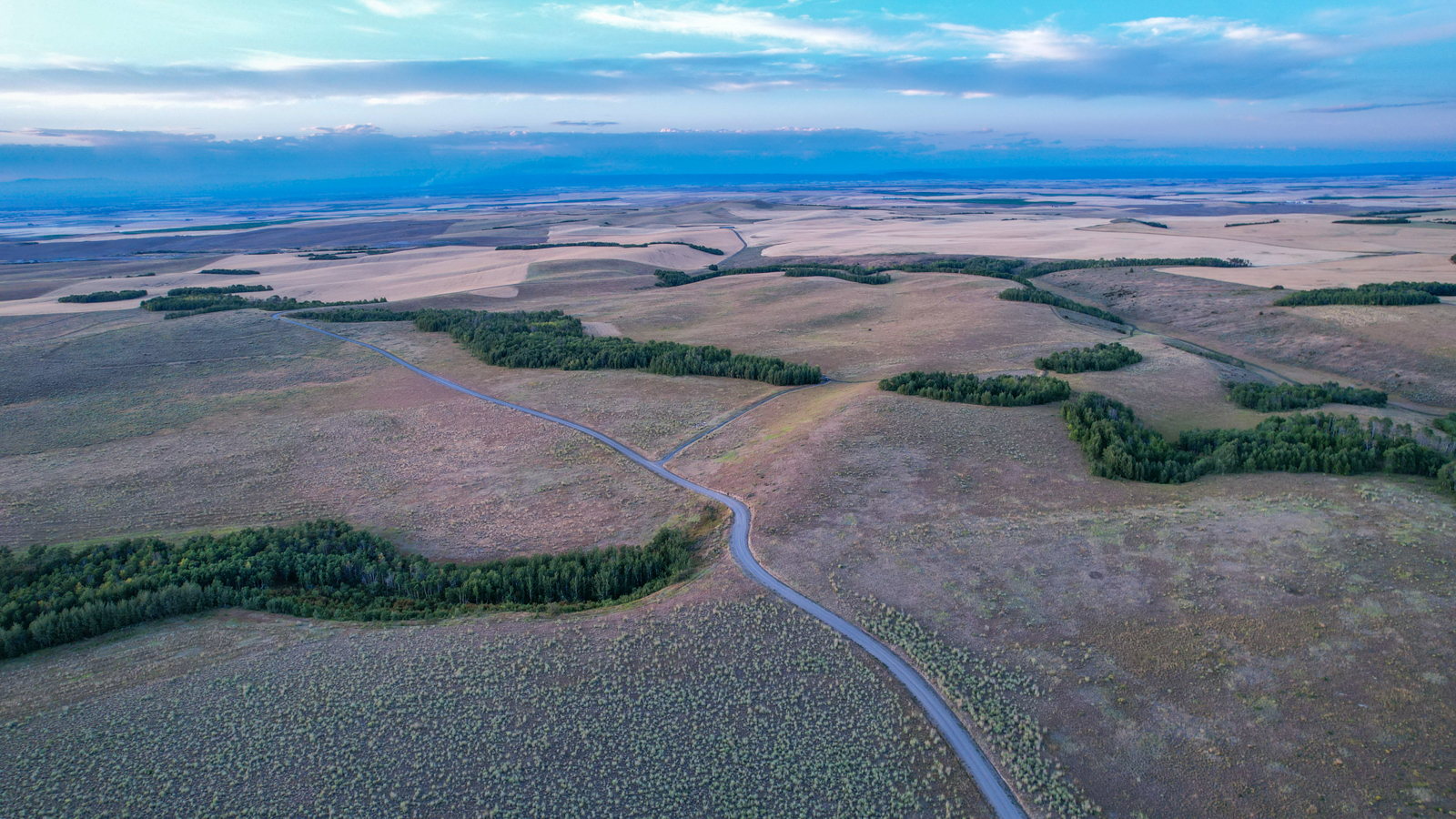 road on Long Hollow Ranch