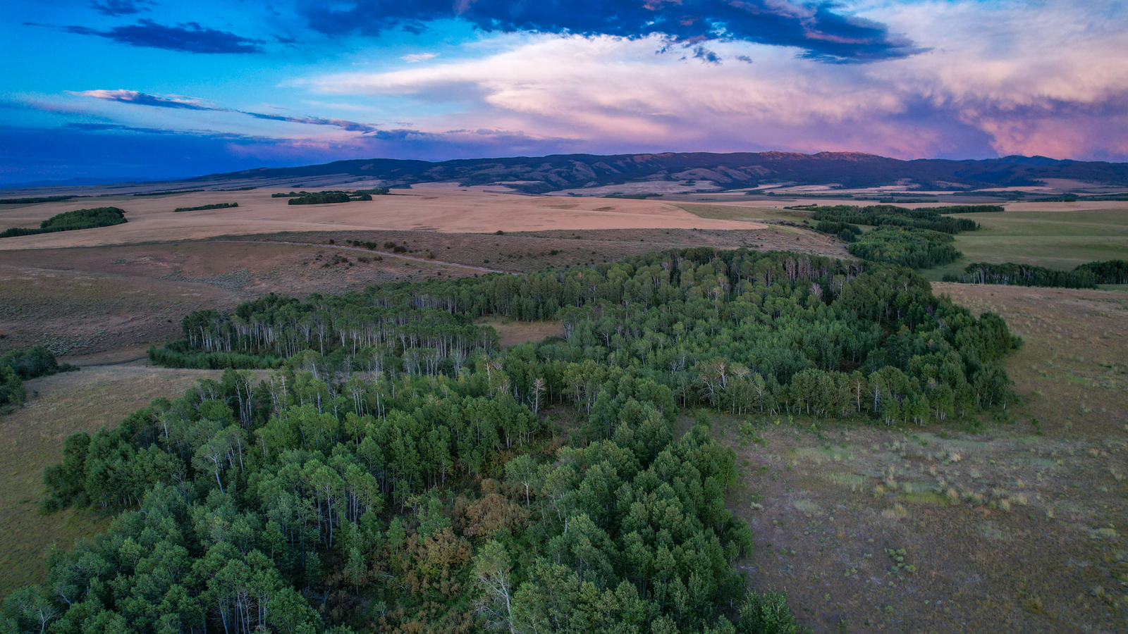 Long Hollow Ranch aerial view