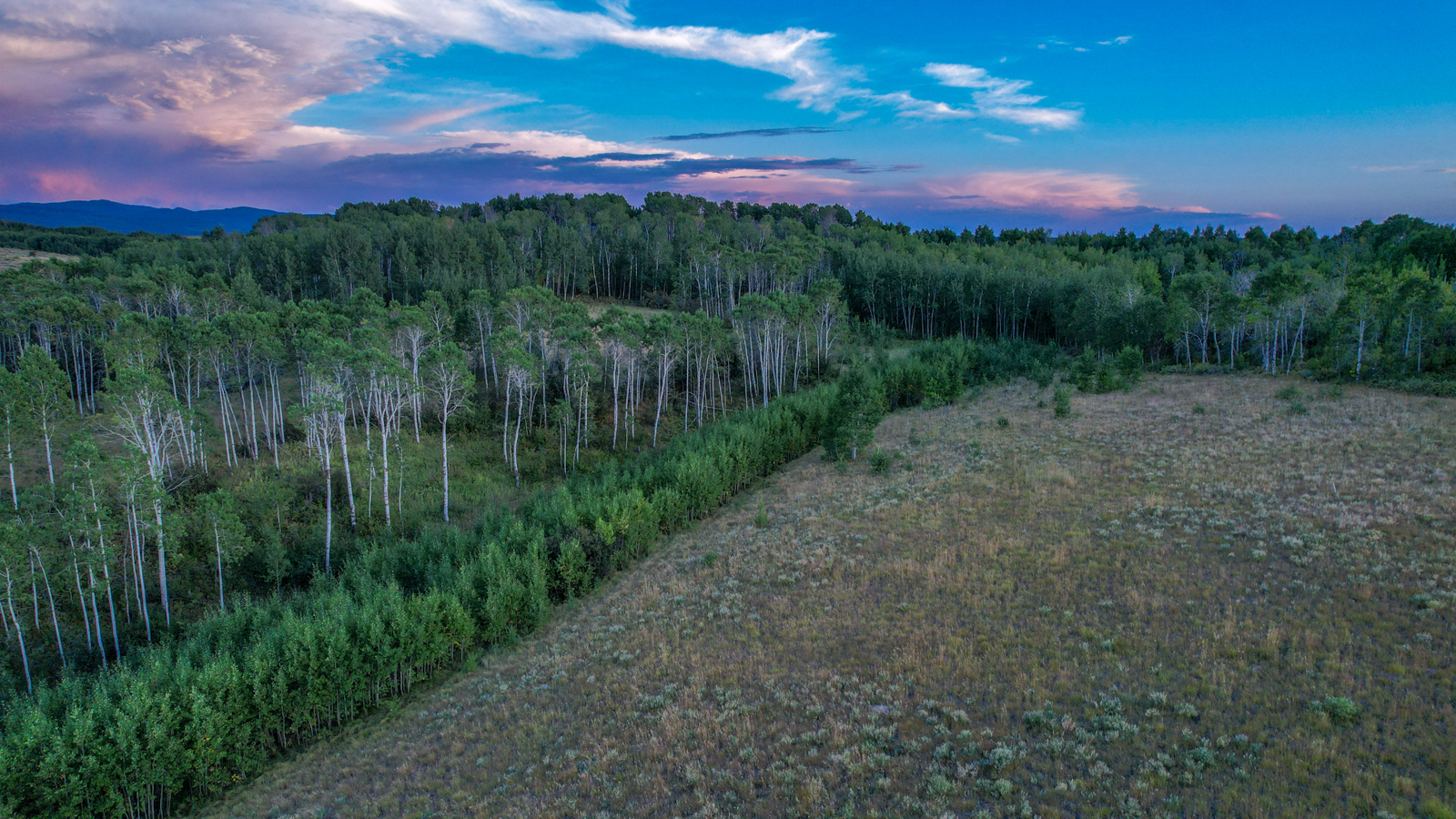 farmland in idaho aerial view
