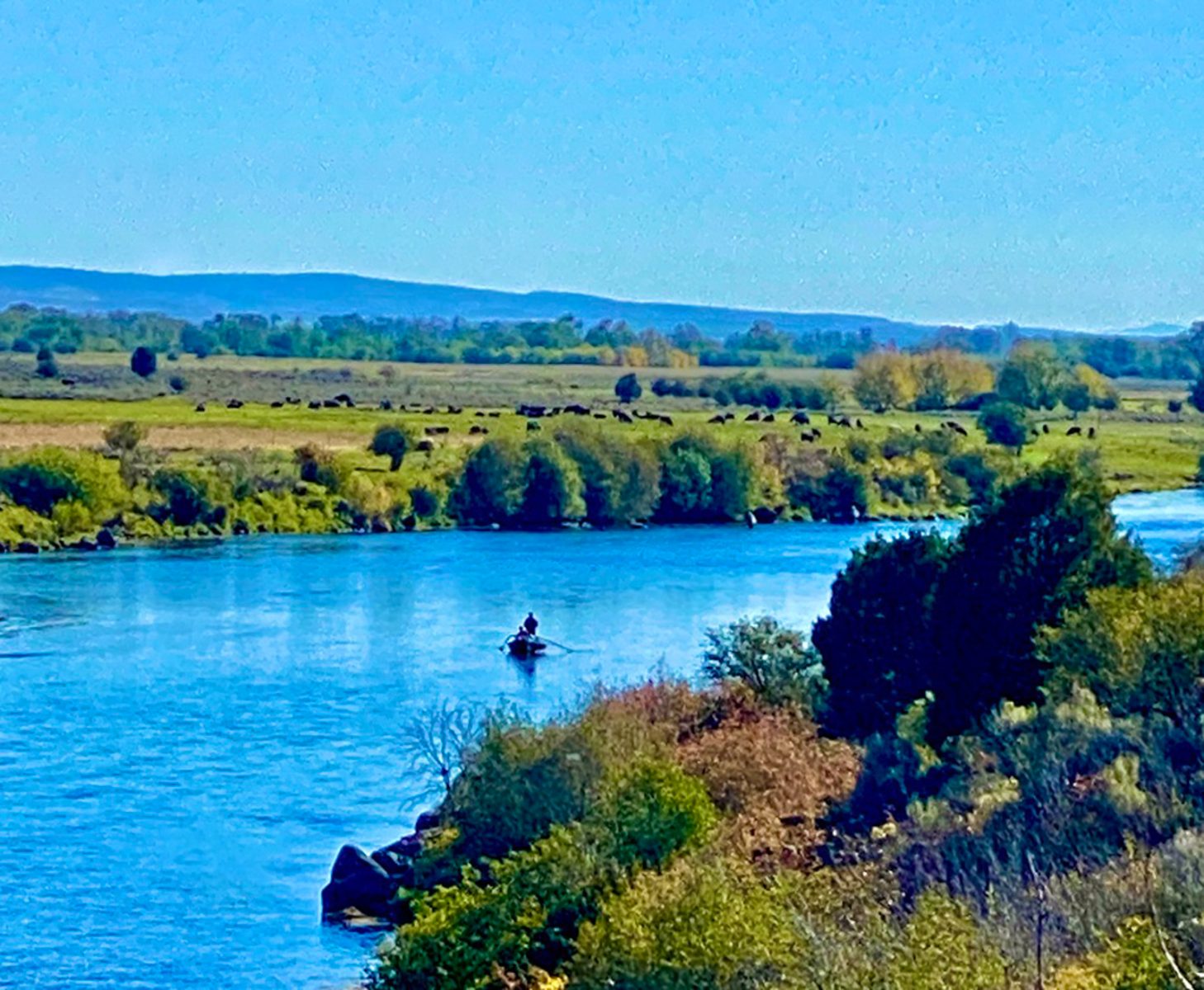 fly fishing on cattle ranch for sale in idaho