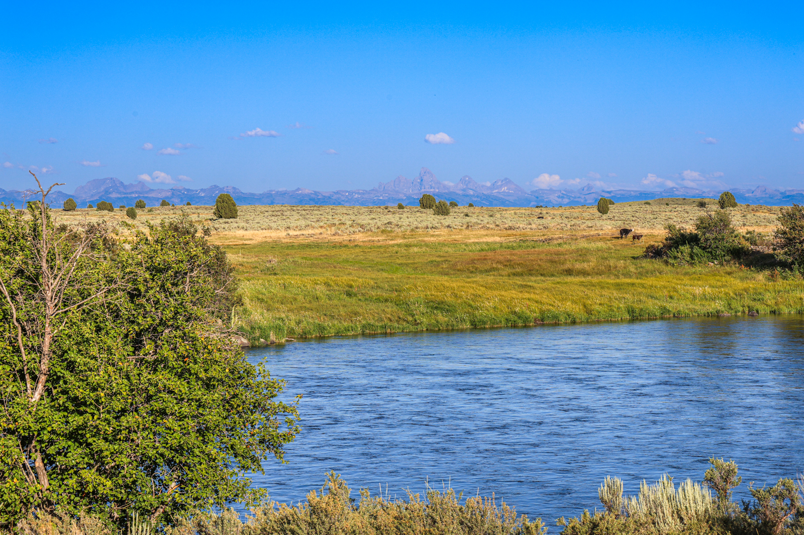 fly fishing ranch for sale in idaho