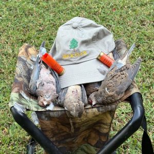 Doves on a hunting chair on Southern land