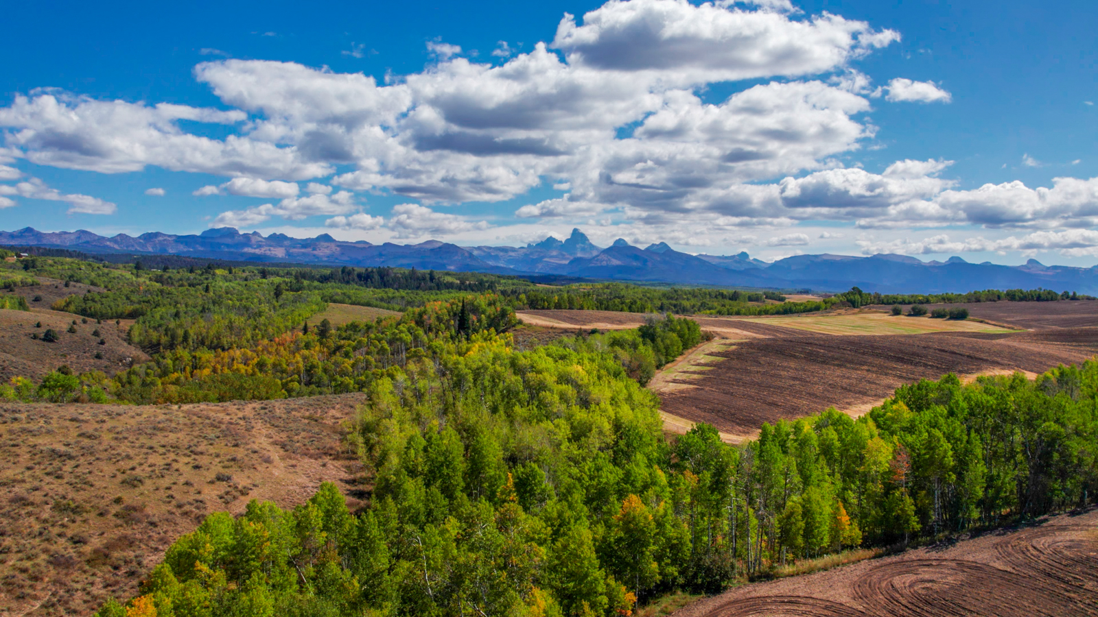 Bull Elk Creek Ranch