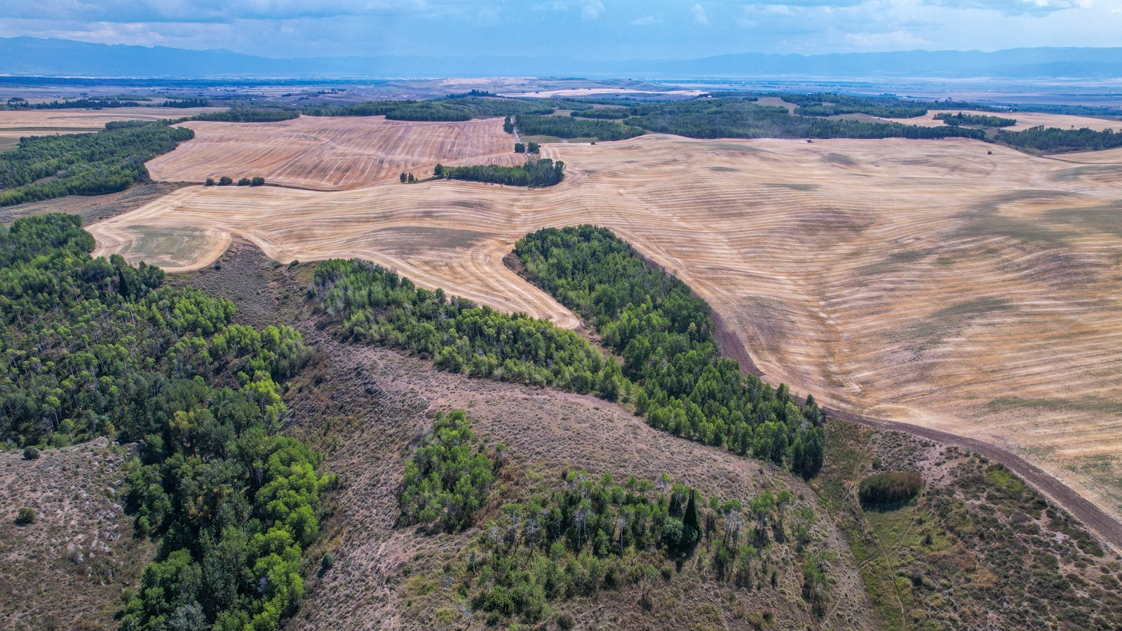 property aerial view