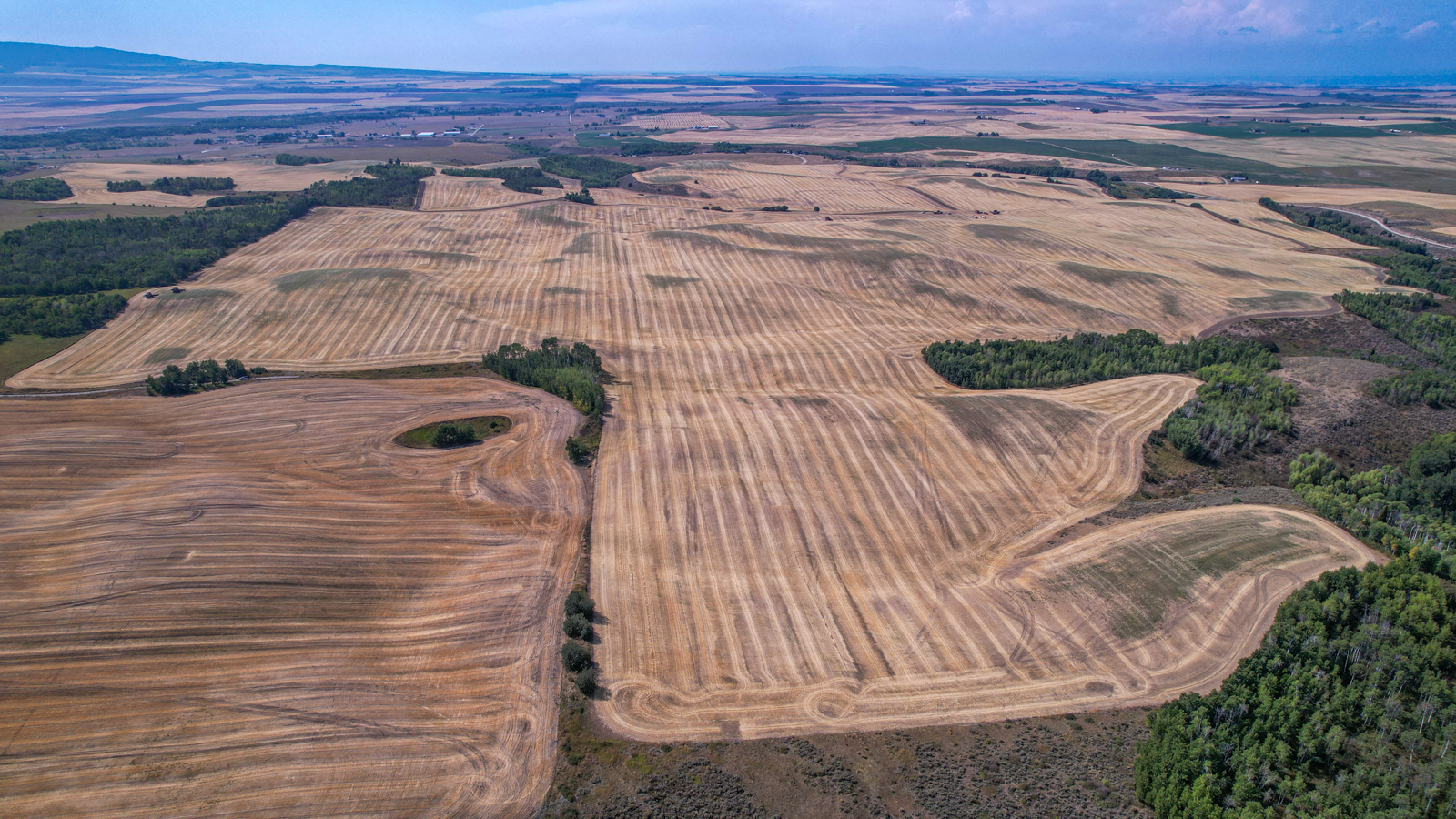 idaho farmland for sale