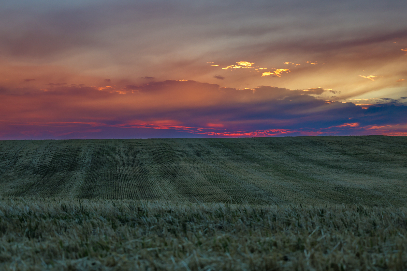 idaho farmland for sale at sunset