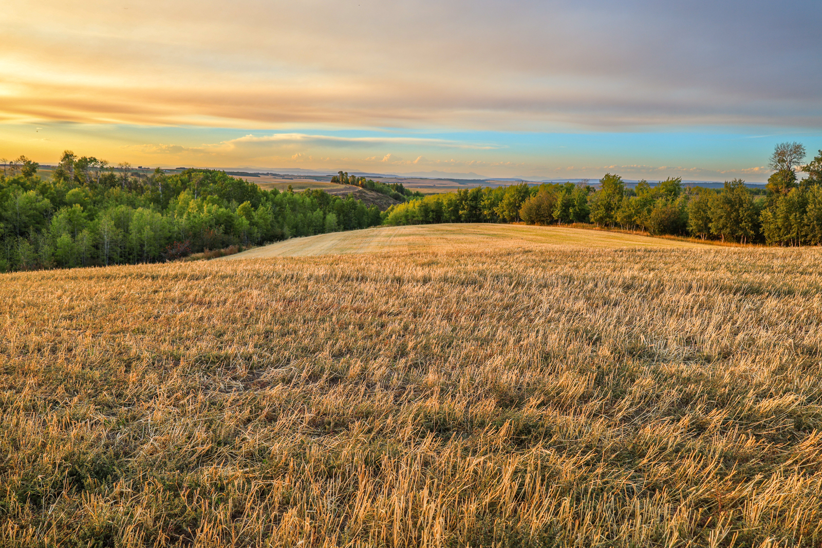 farmland areial view