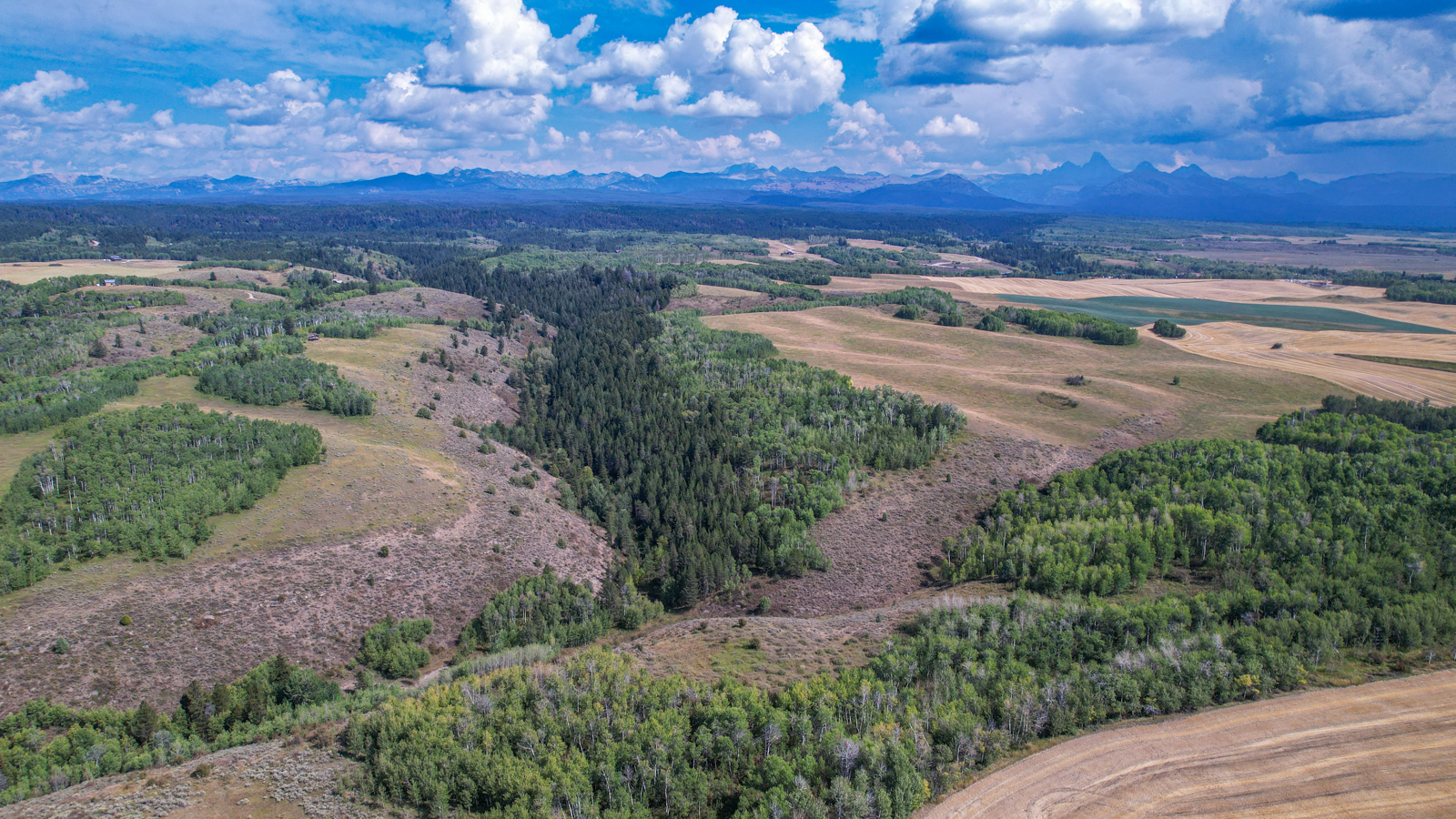 Bull Elk Creek Ranch hunting land