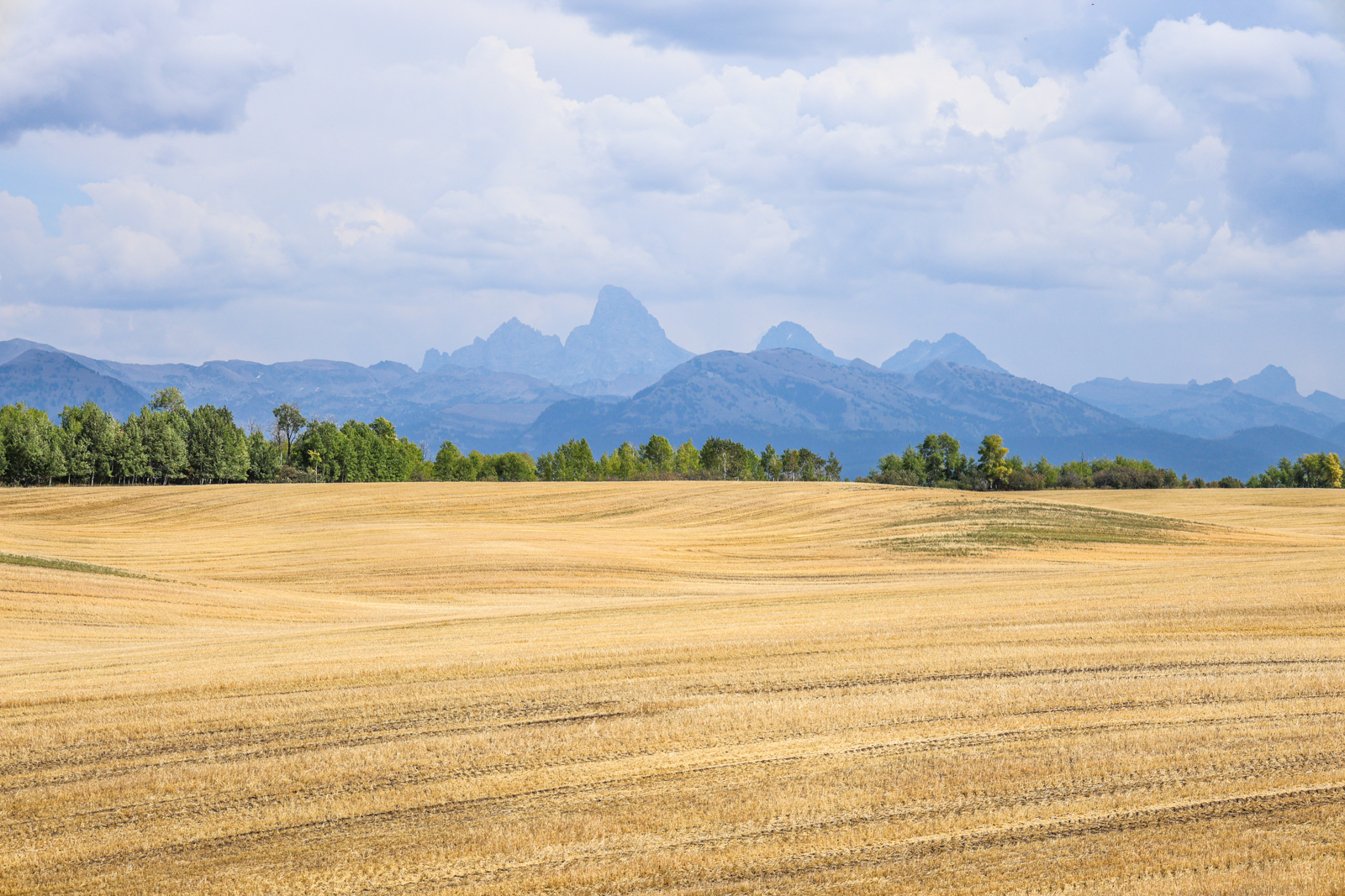 view of Teton Mountains