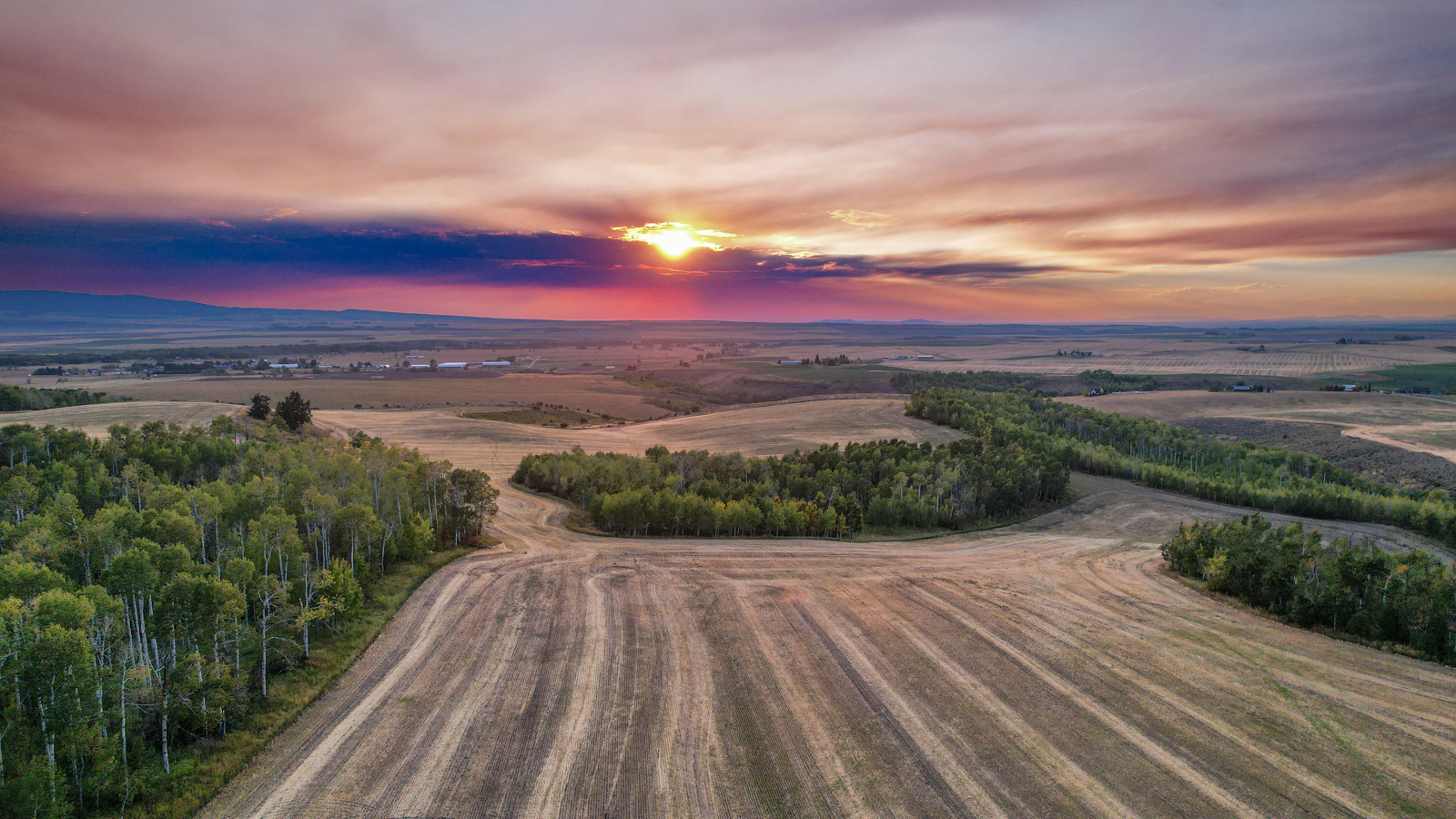 idaho farmland for sale at sunrise
