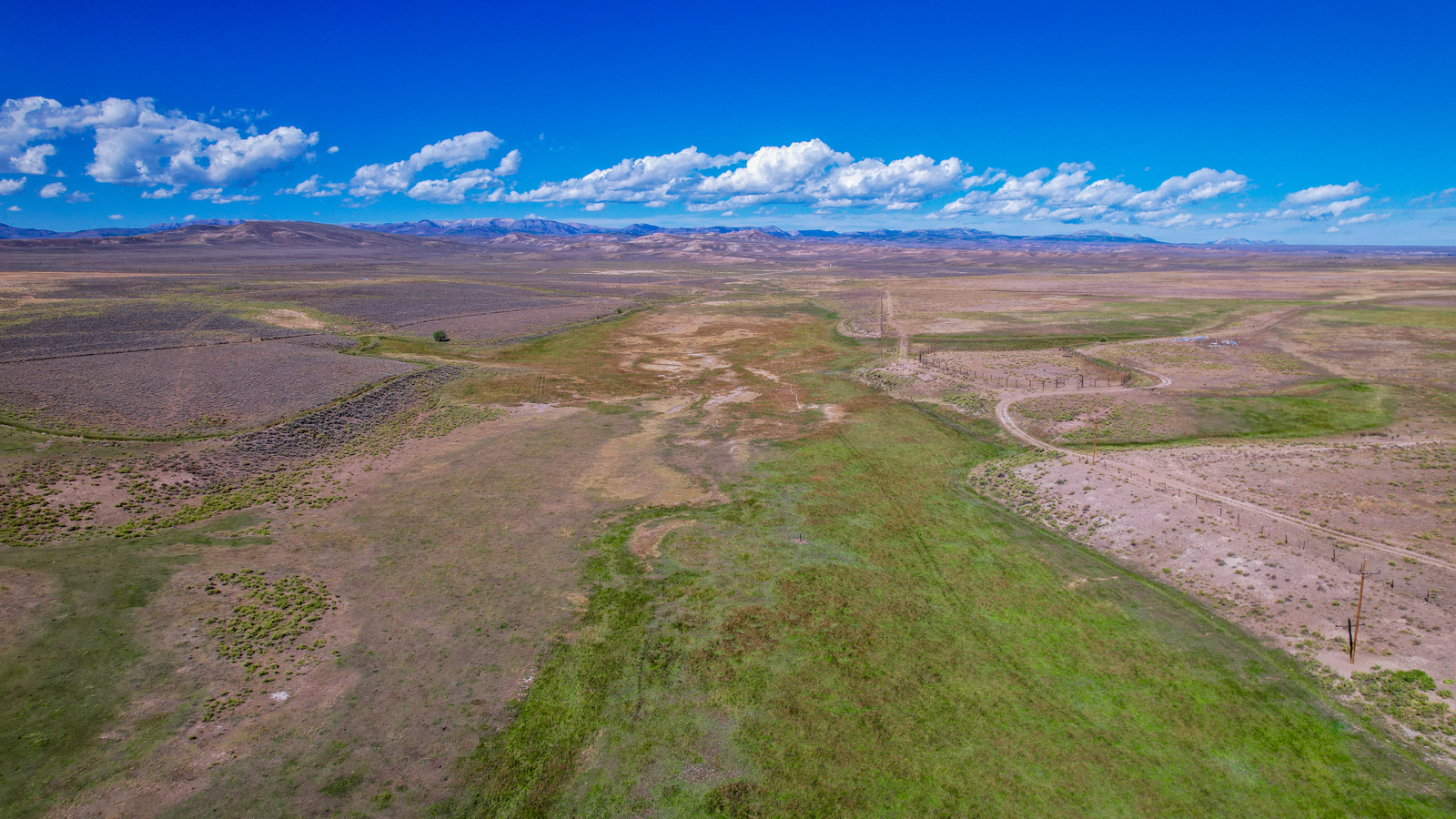 cattle ranch in wyoming