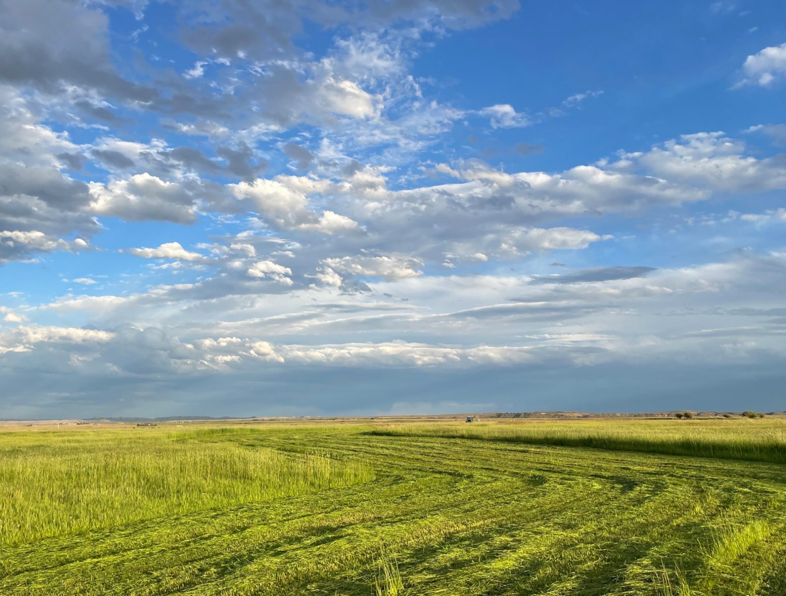 Haywire Ranch hay production