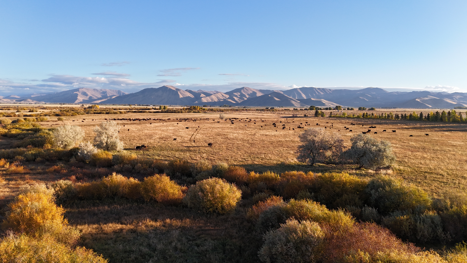 elk hunting at Willow Creek Meadows