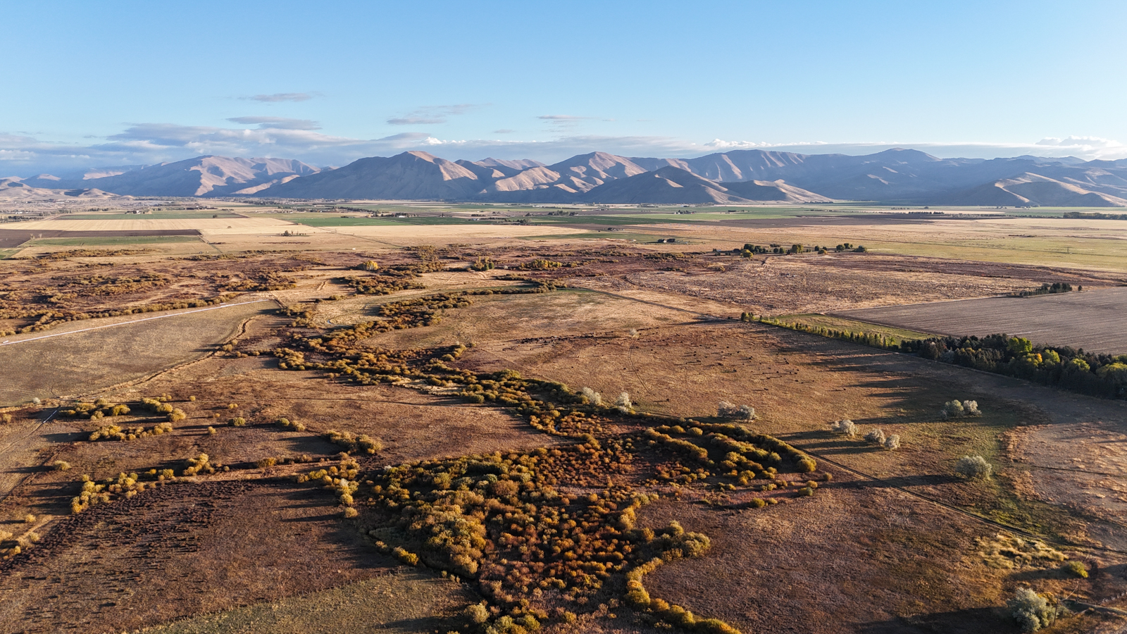 elk and moose hunting land