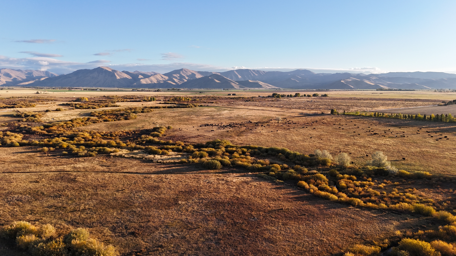 Willow Creek Meadows aerial view