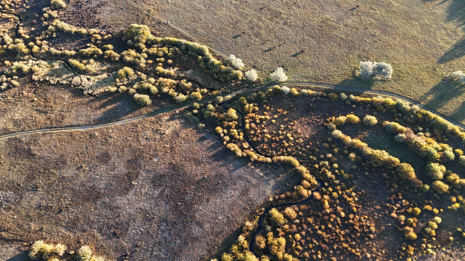 aerial view of field