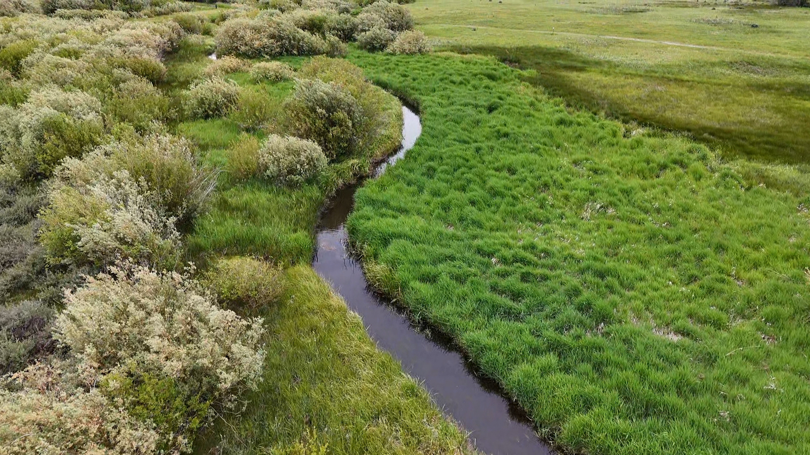 river and greenery