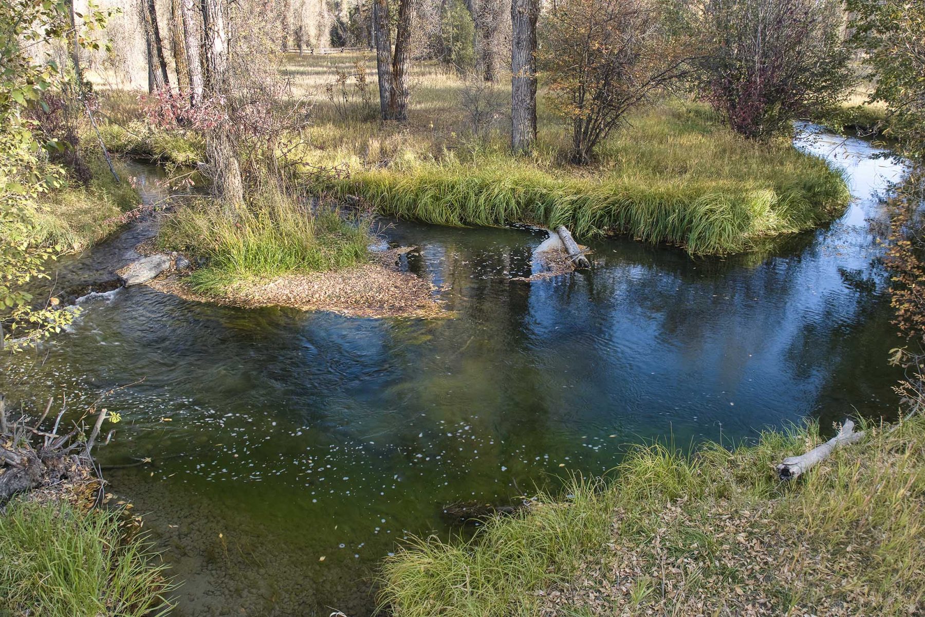 fisherman in the river