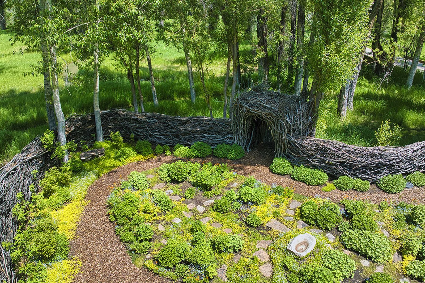 aerial view of garden
