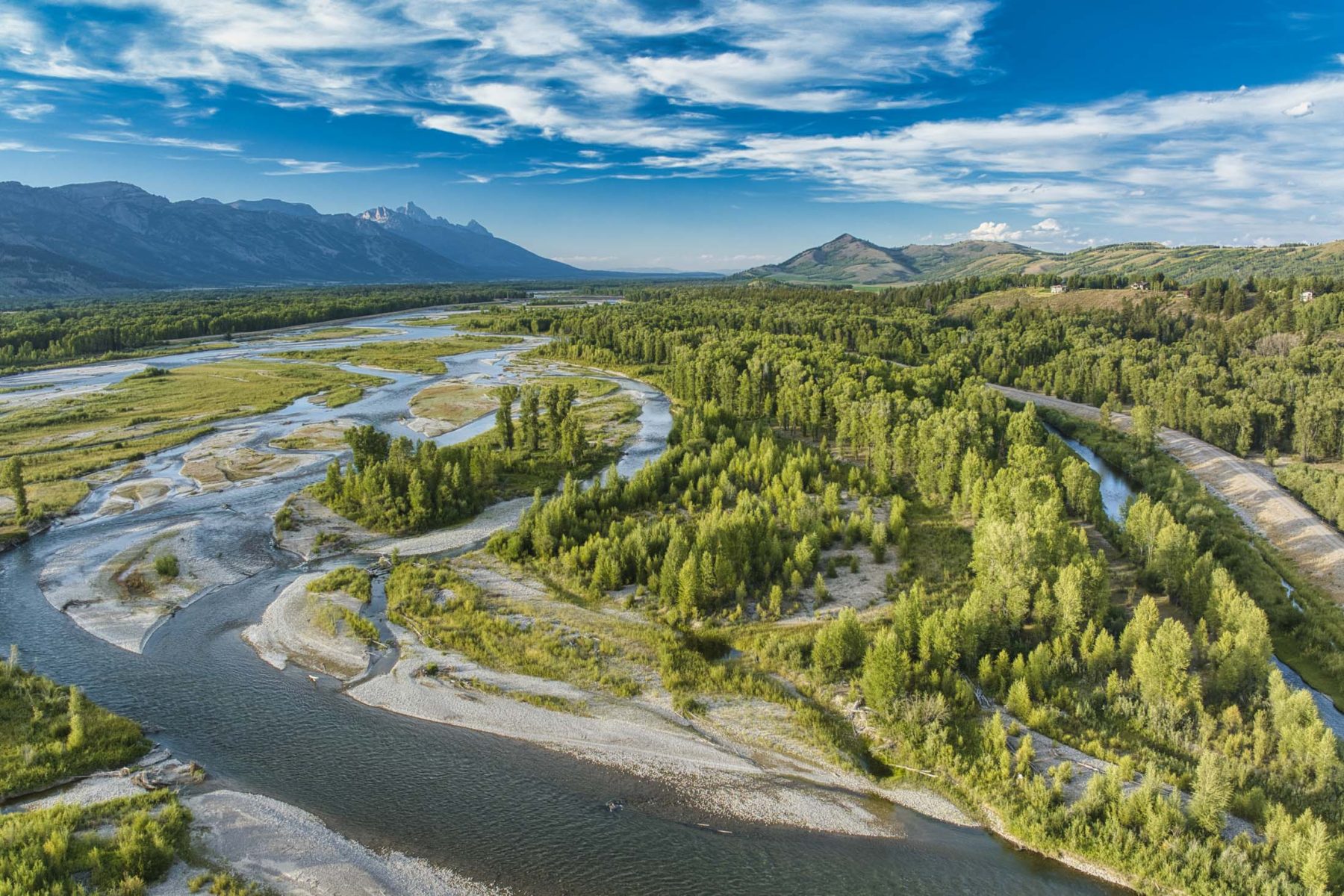 grouse on riverfront ranch in Wyoming