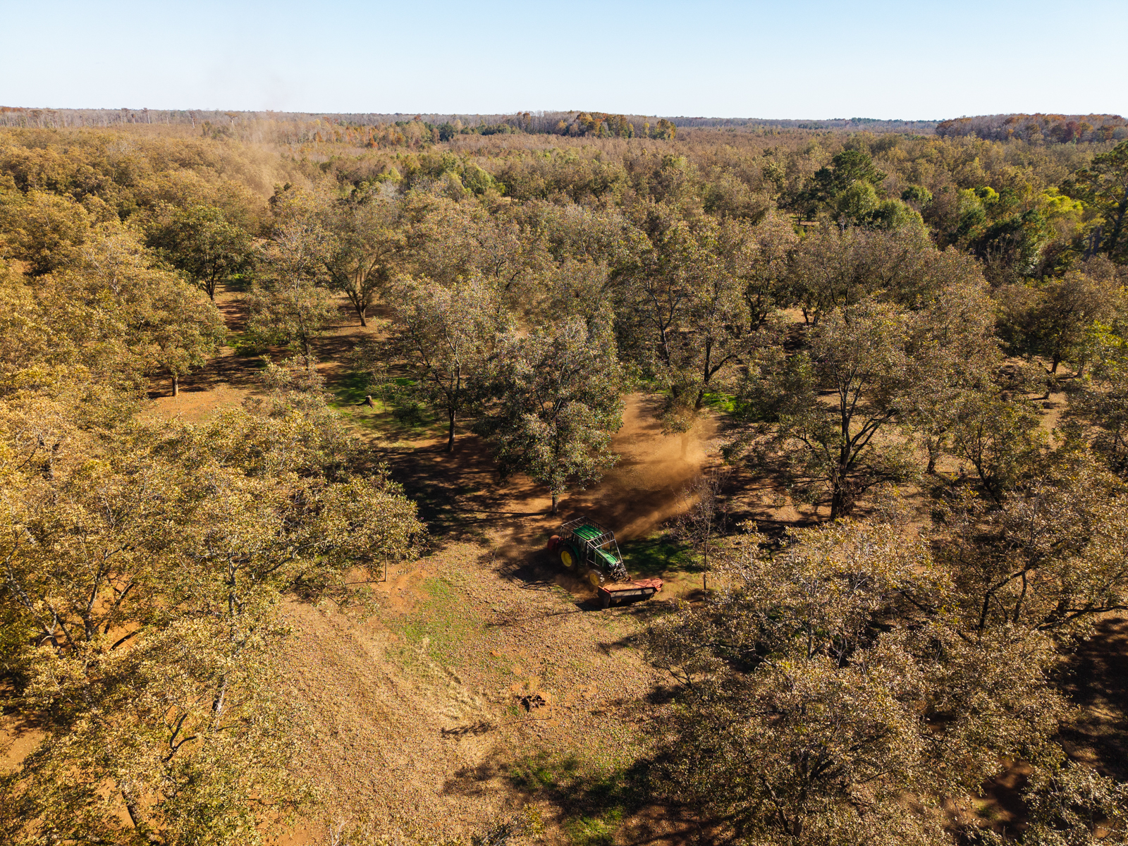 aerial view of Graham Pecan Farm