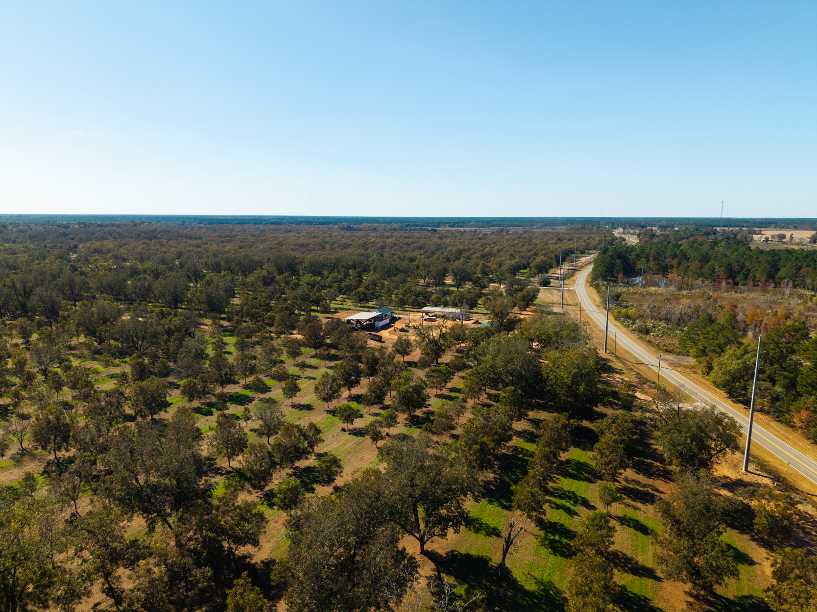aerial view of Graham Pecan Farm