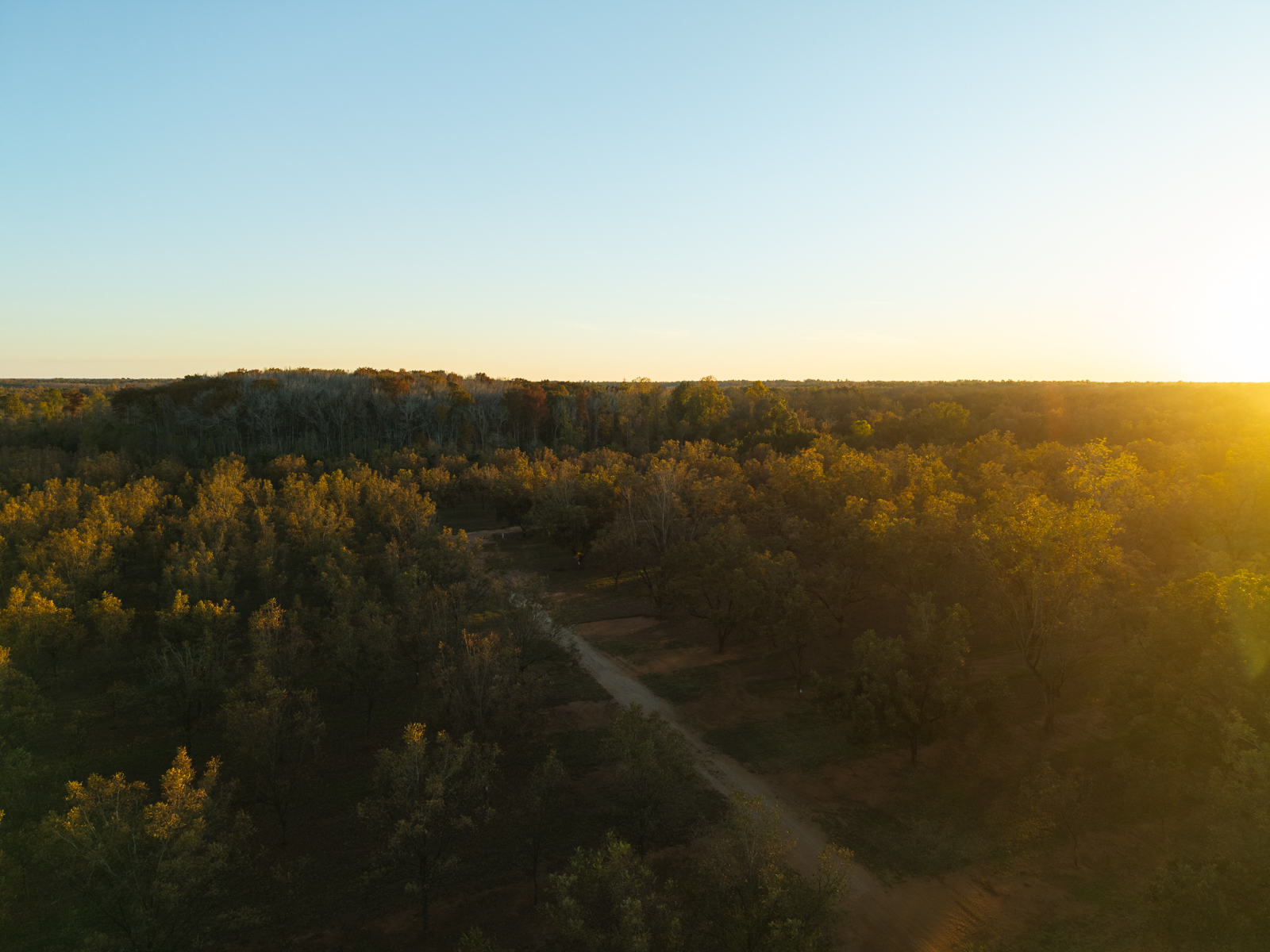 aerial view of farmland in Georgia