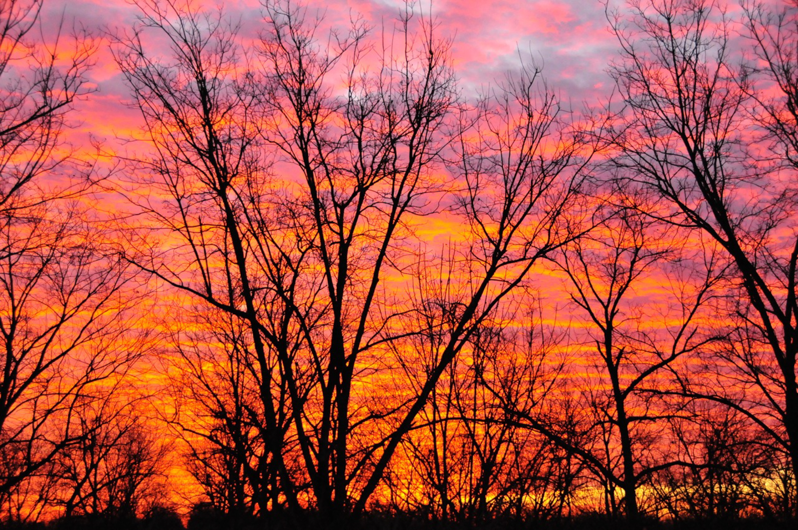 sunset on farmland in Georgia