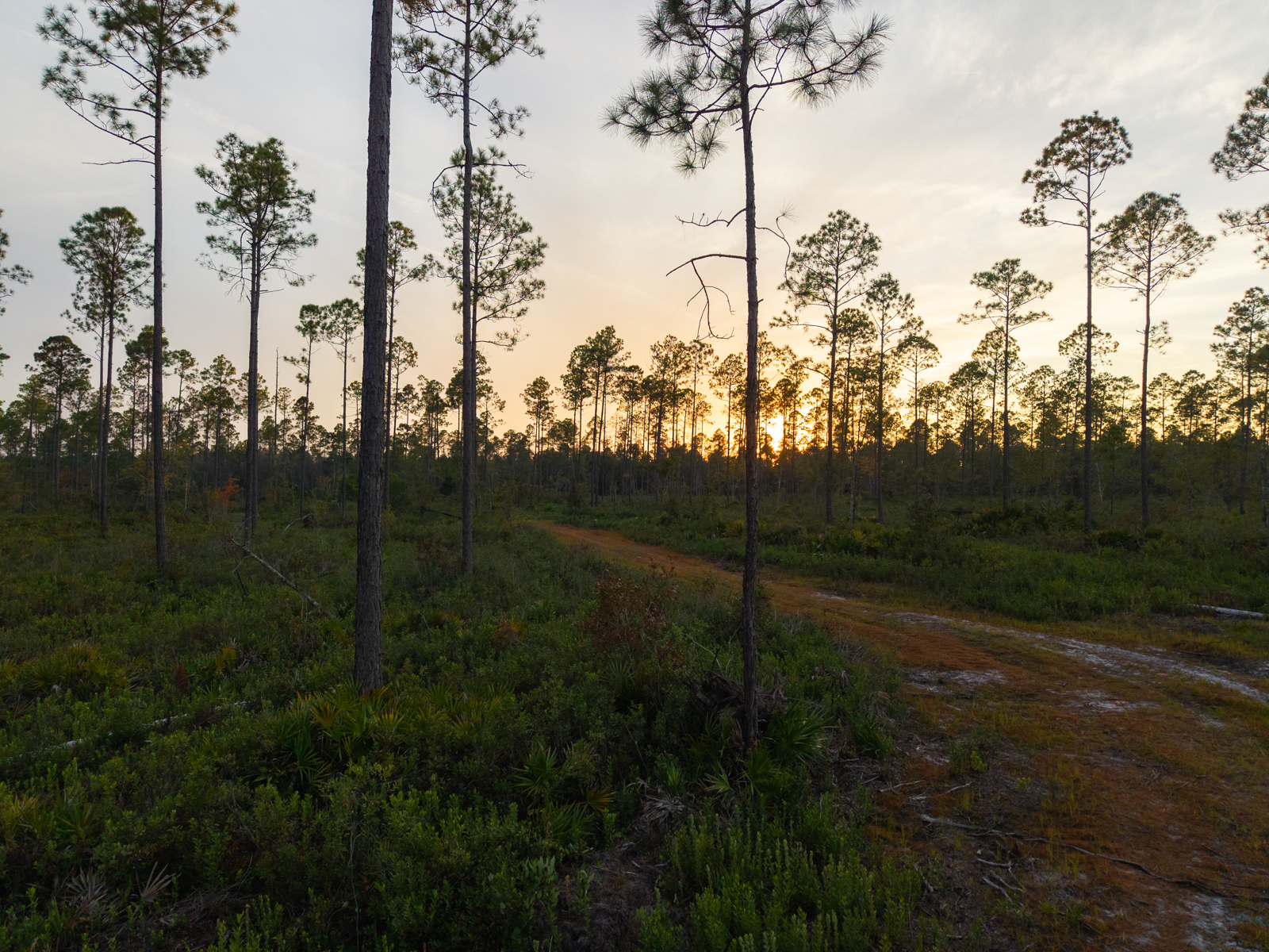 hunting land in Georgia