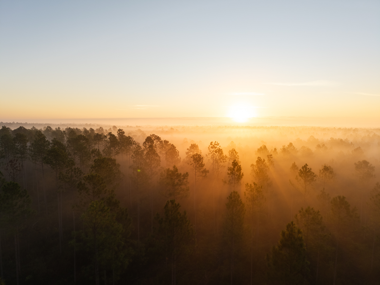 hunting land in Georgia