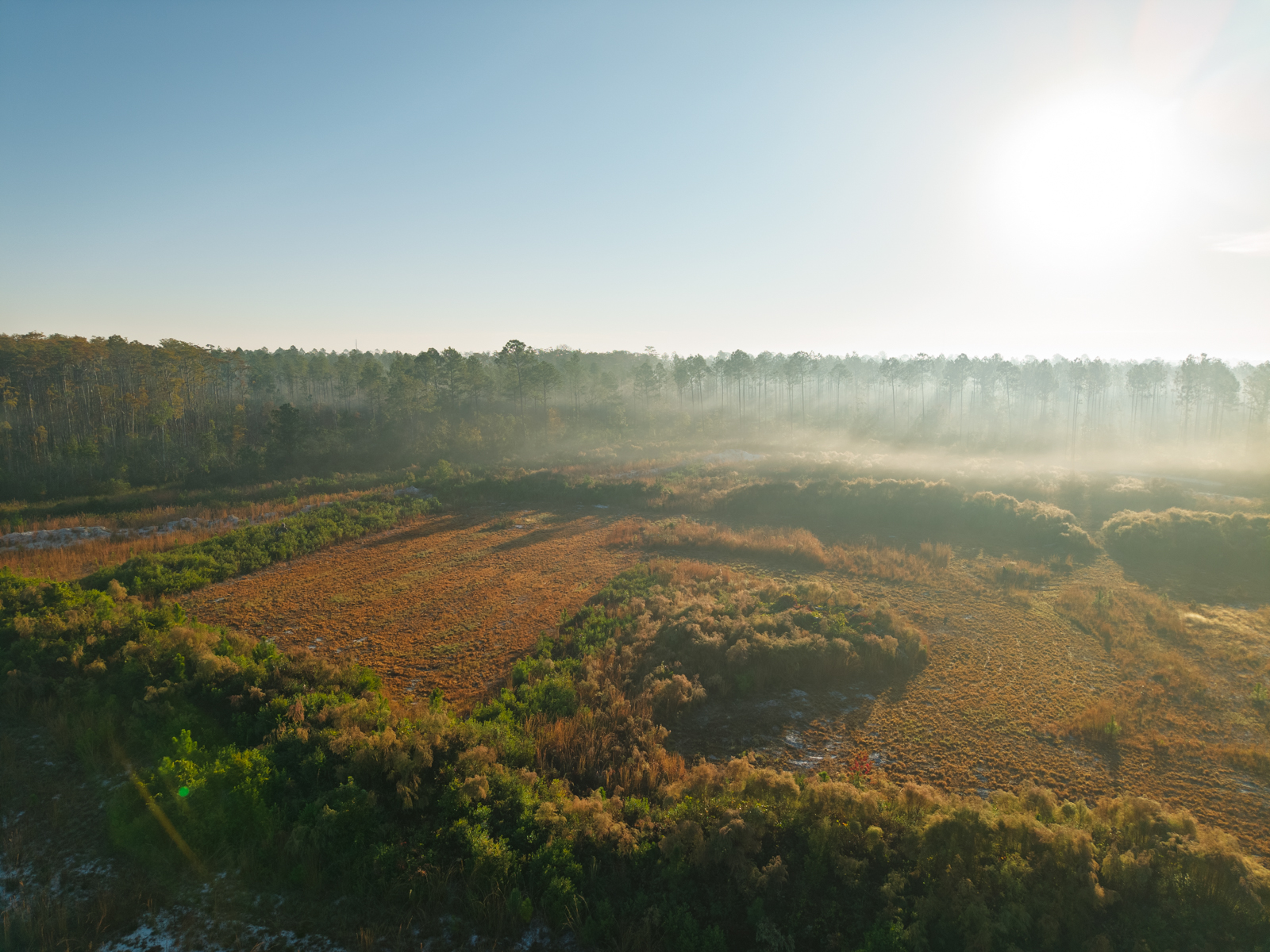 timberland in Georgia