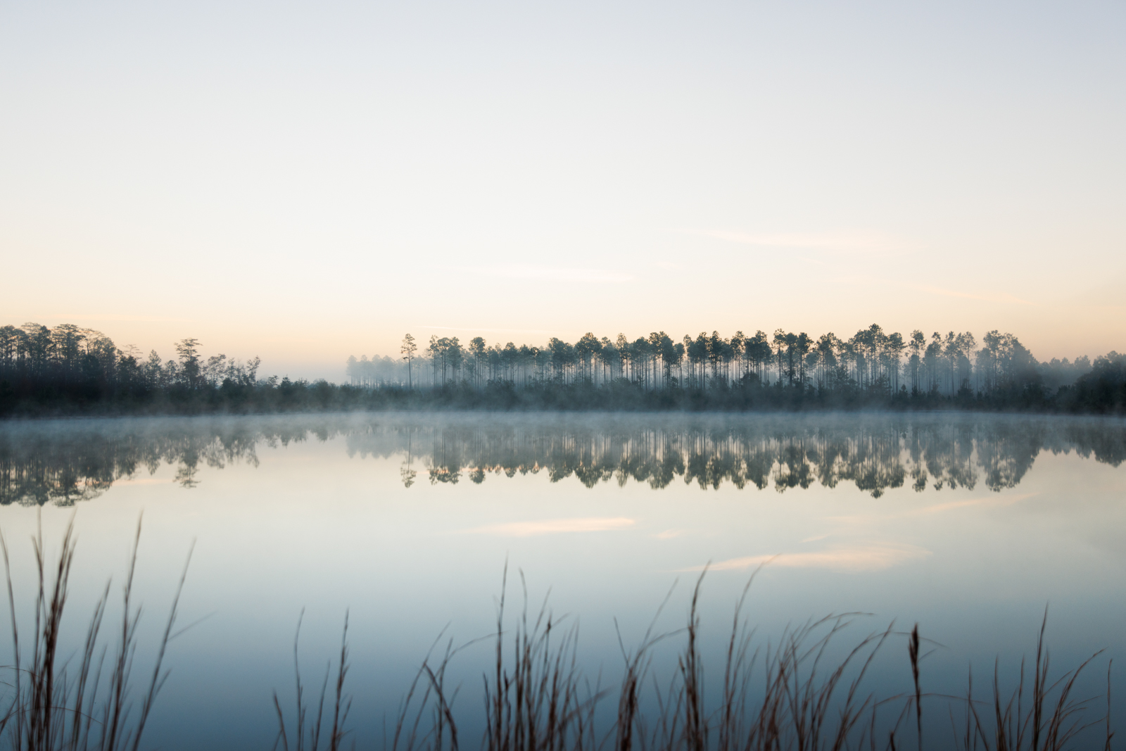 pond on Georgia farm