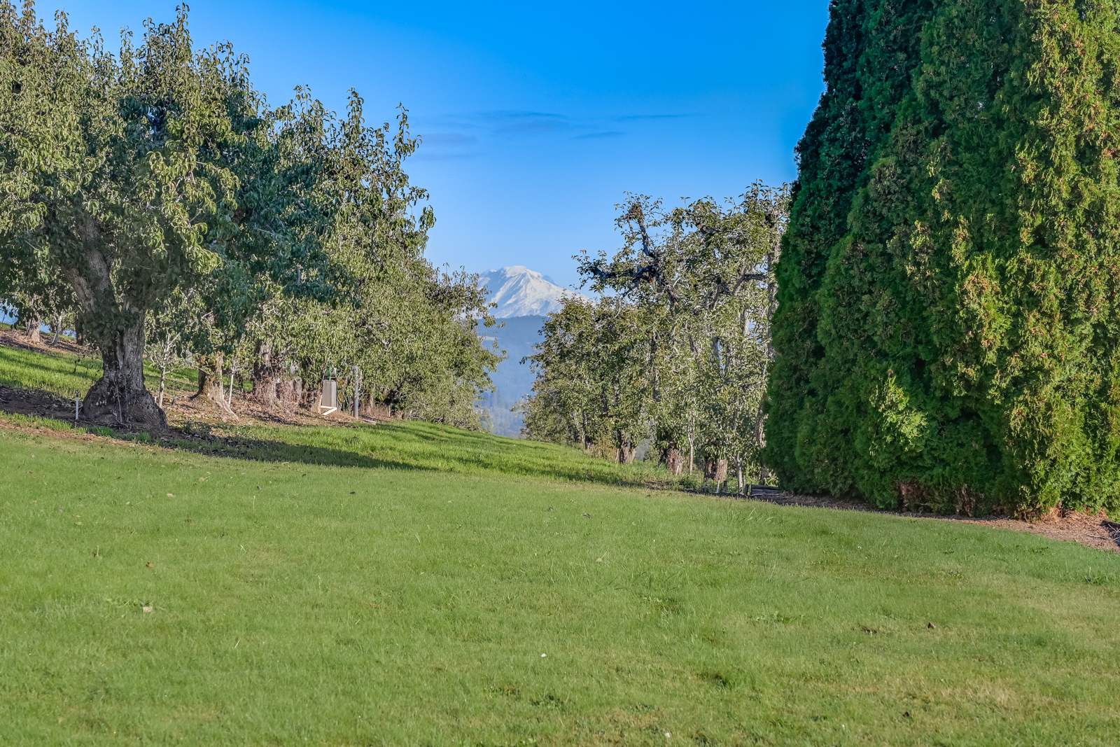 mountain views on ranch for sale in Oregon