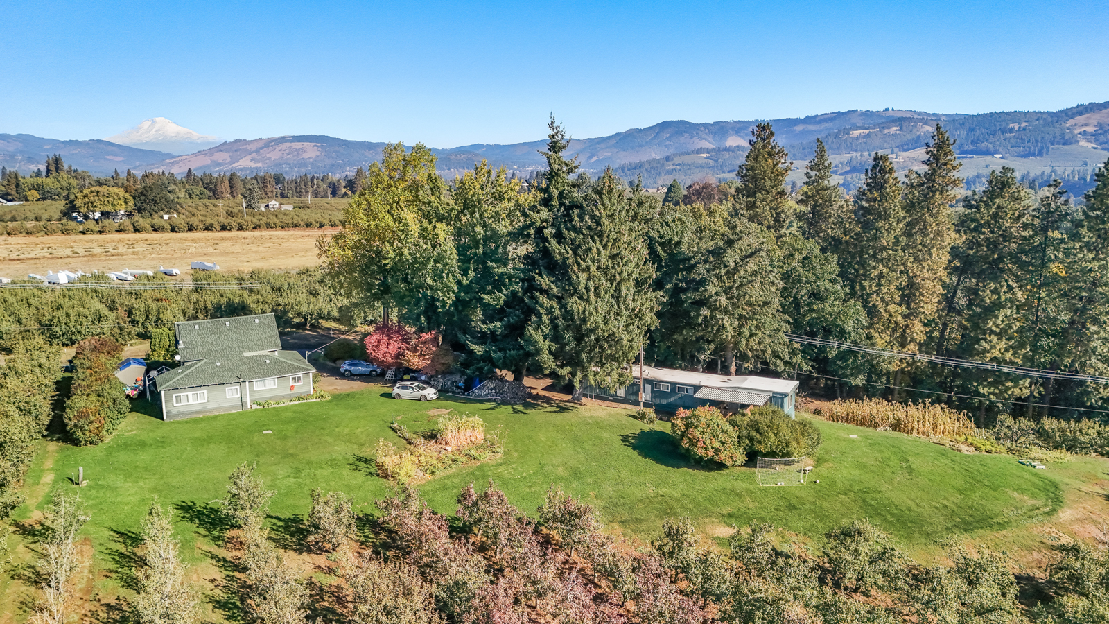 aerial view of houses