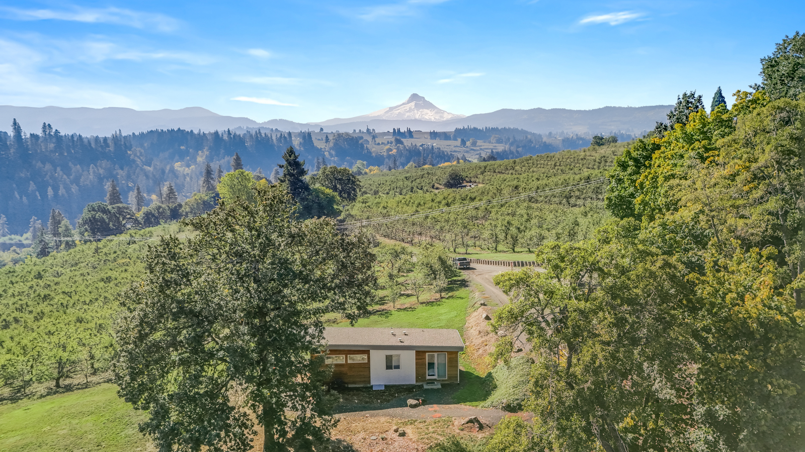aerial view of orchards