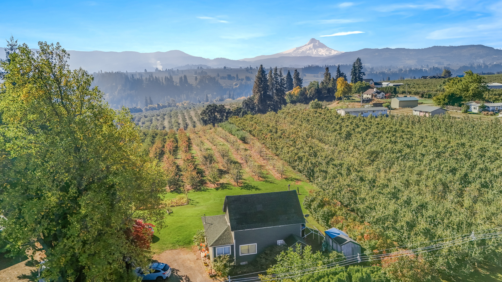 pear orchard on oregon ranch for sale