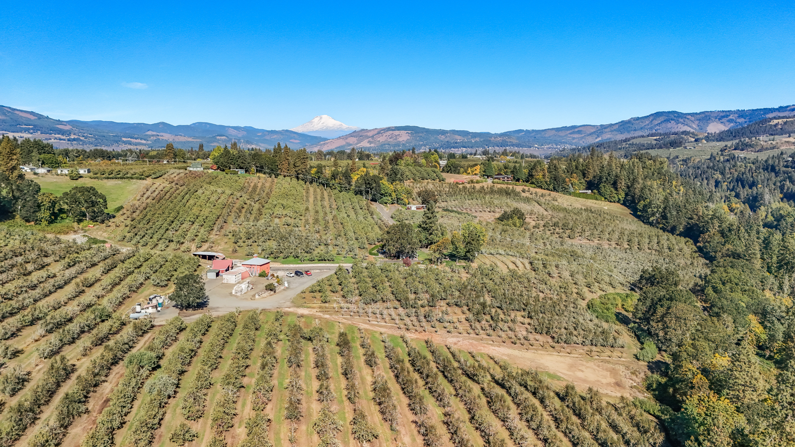 oregon ranch for sale
