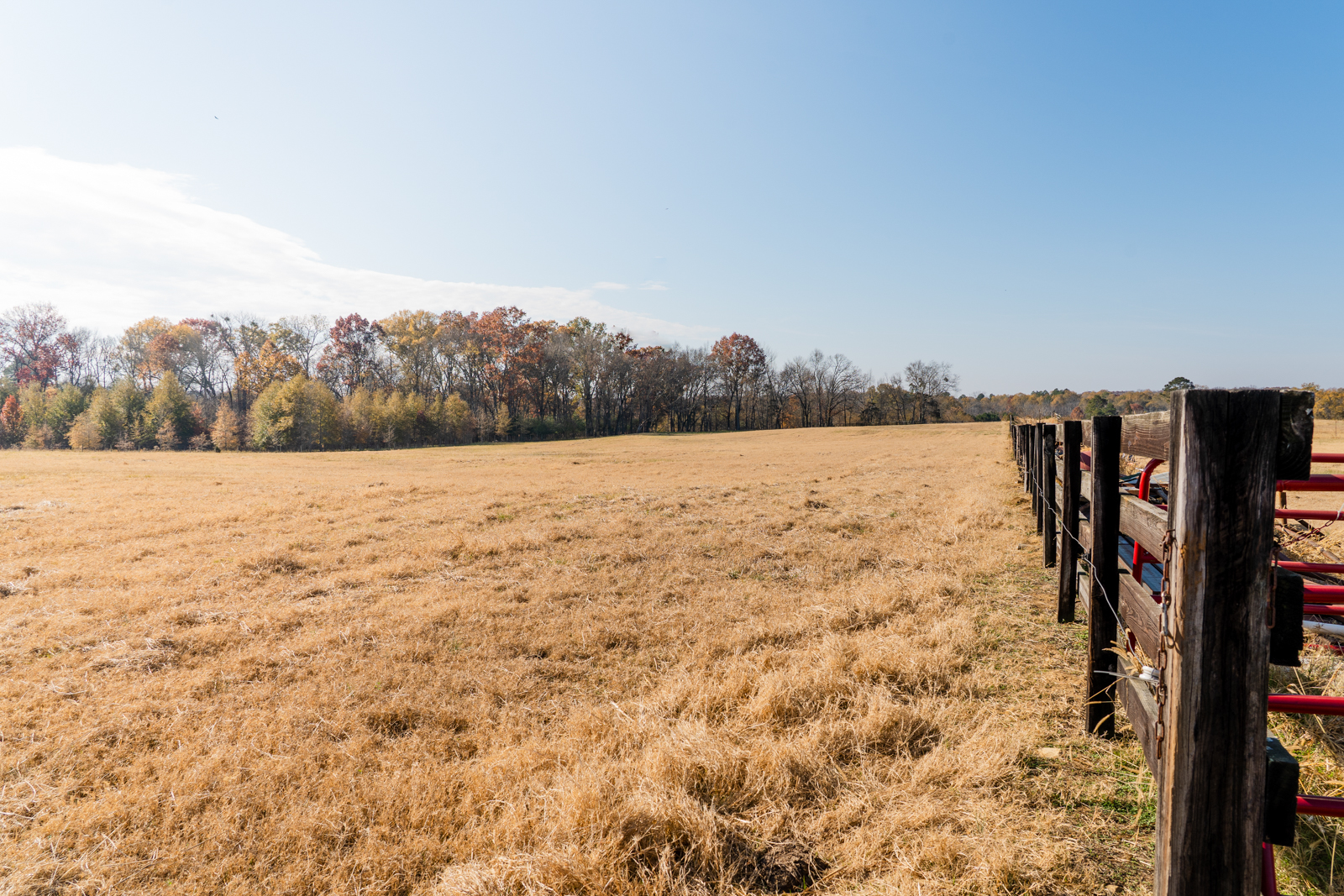 farmland on agricultural ranch in Georgia