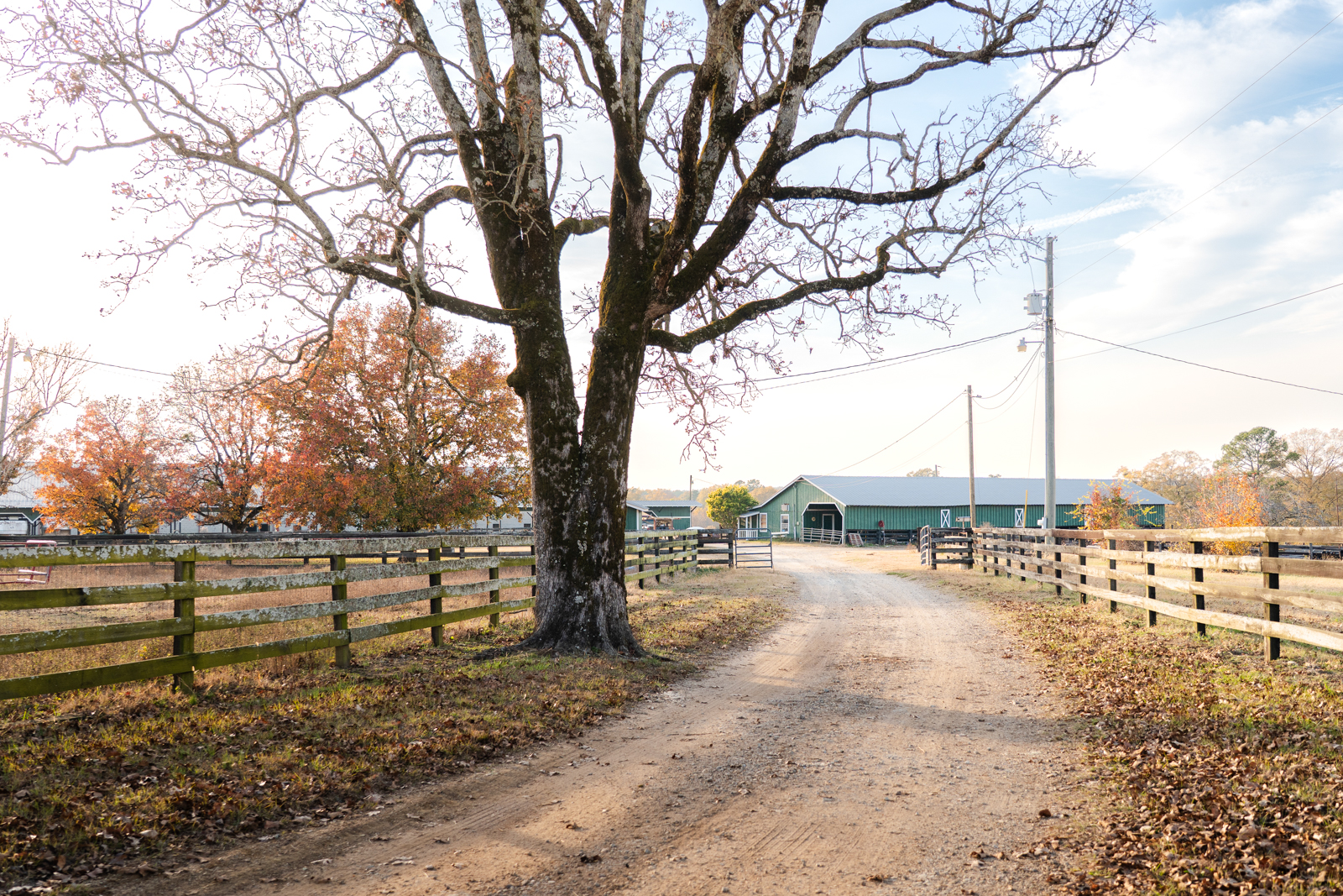 Wahatchee Creek Farm