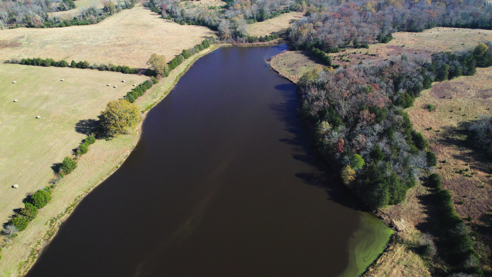 pond on agricultural ranch in Georgia
