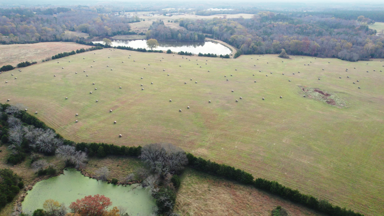 aerial view of farmland