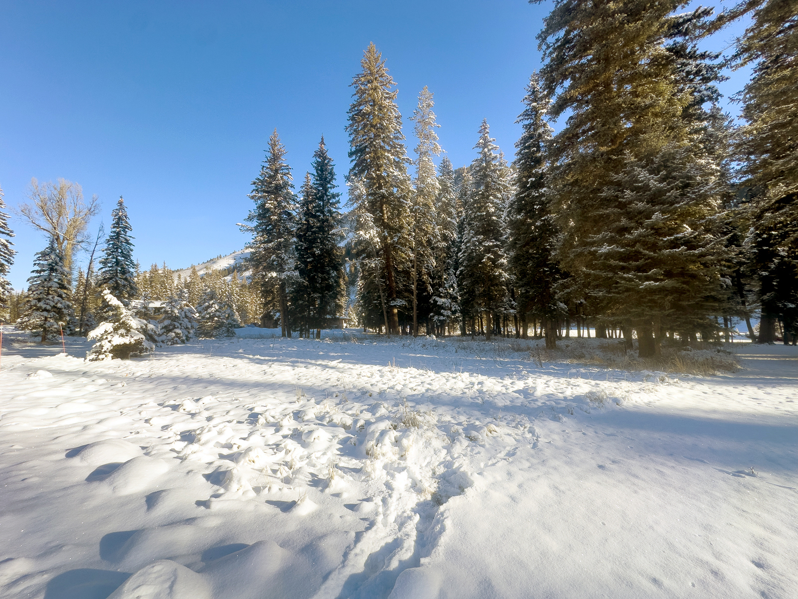 lot for sale in Wyoming